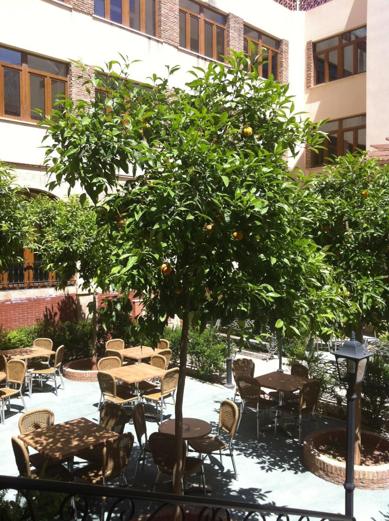 Balneario San Nicolas Hotel